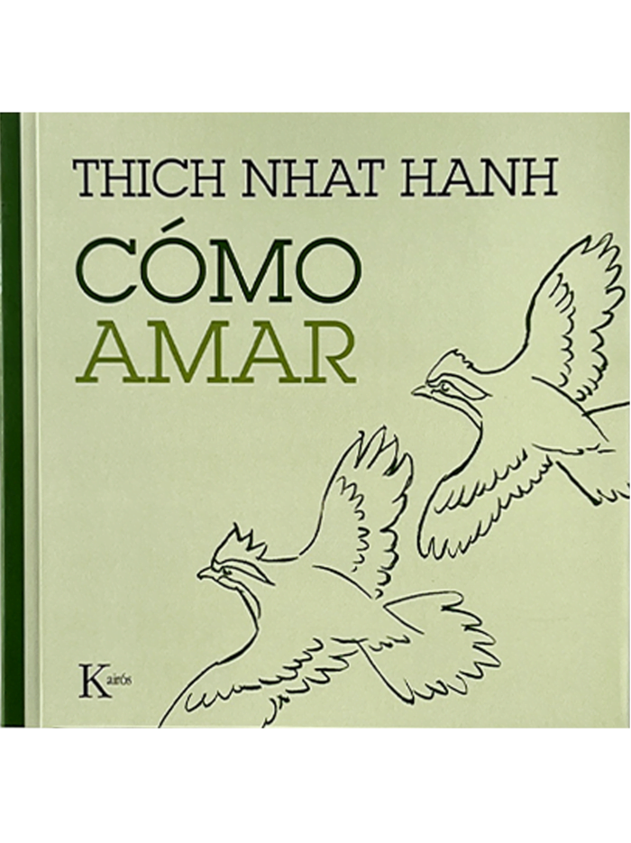 Cómo Amar - Imagen 1