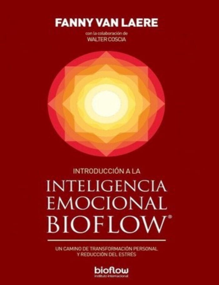 Introducción a la inteligencia emocional - Imagen 1