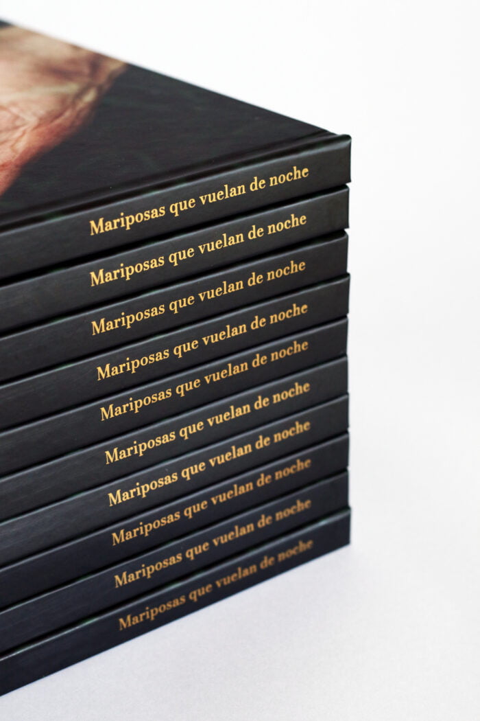 Mariposas que vuelan de noche - Imagen 3