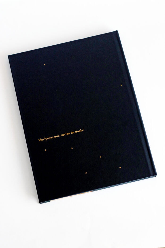Mariposas que vuelan de noche - Imagen 2