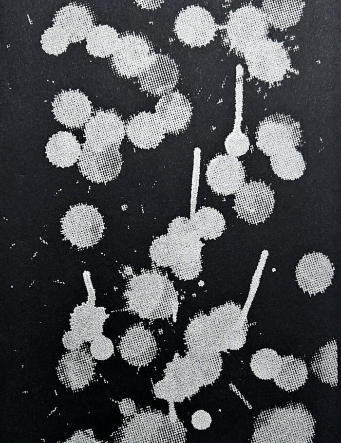 Tapa libro (6) Lagrimas vivas - Imagen 1