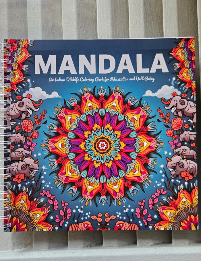 Mandala 1 - Imagen 1